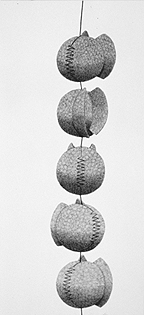 Pods