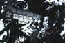 Coltrane Montage